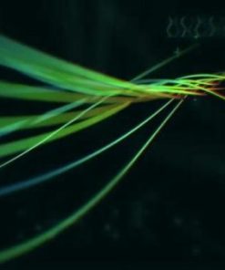 Pacegood.shop106ee0e1b6 3