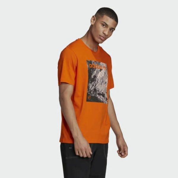 Pacegood.shopbbeeabf8e2 4