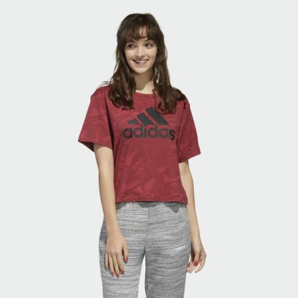 Pacegood.shopc0db595d26 1