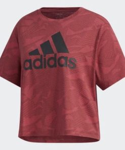 Pacegood.shopc0db595d26 5