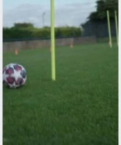 Pacegood.shopc27d2ff8cc 2